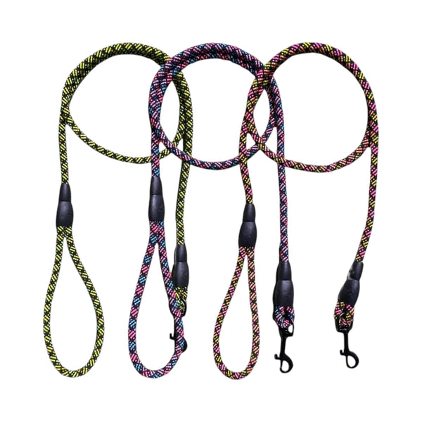 Correa colores vibrantes