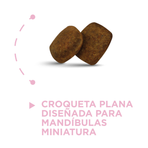 Acercamiento a la croqueta pequeña de Nupec diseñada para la fácil masticación de cachorros de razas como Chihuahua y Pomerania.