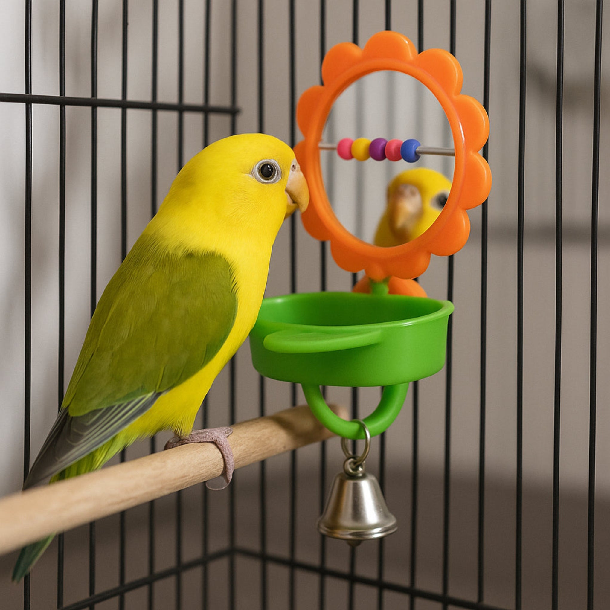 Periquito amarillo y verde observándose en un juguete espejo con forma de flor, comedero verde y campanita dentro de una jaula.
