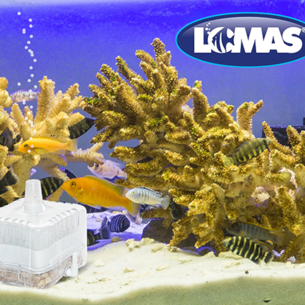 filtro interno de caja aquajet 25 en acuario mostrando funcionamiento