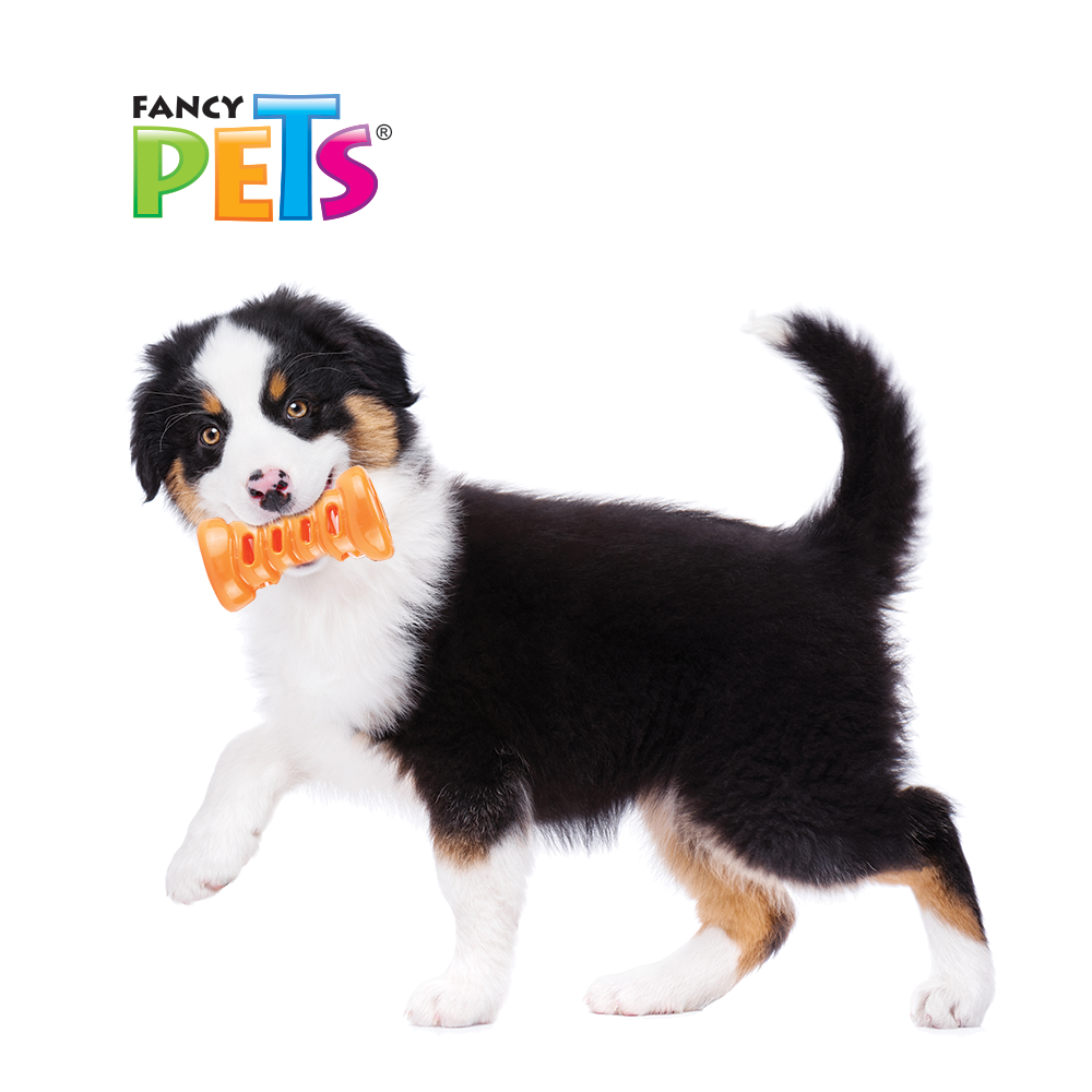 Juguete para Perro para Premios FancyPets