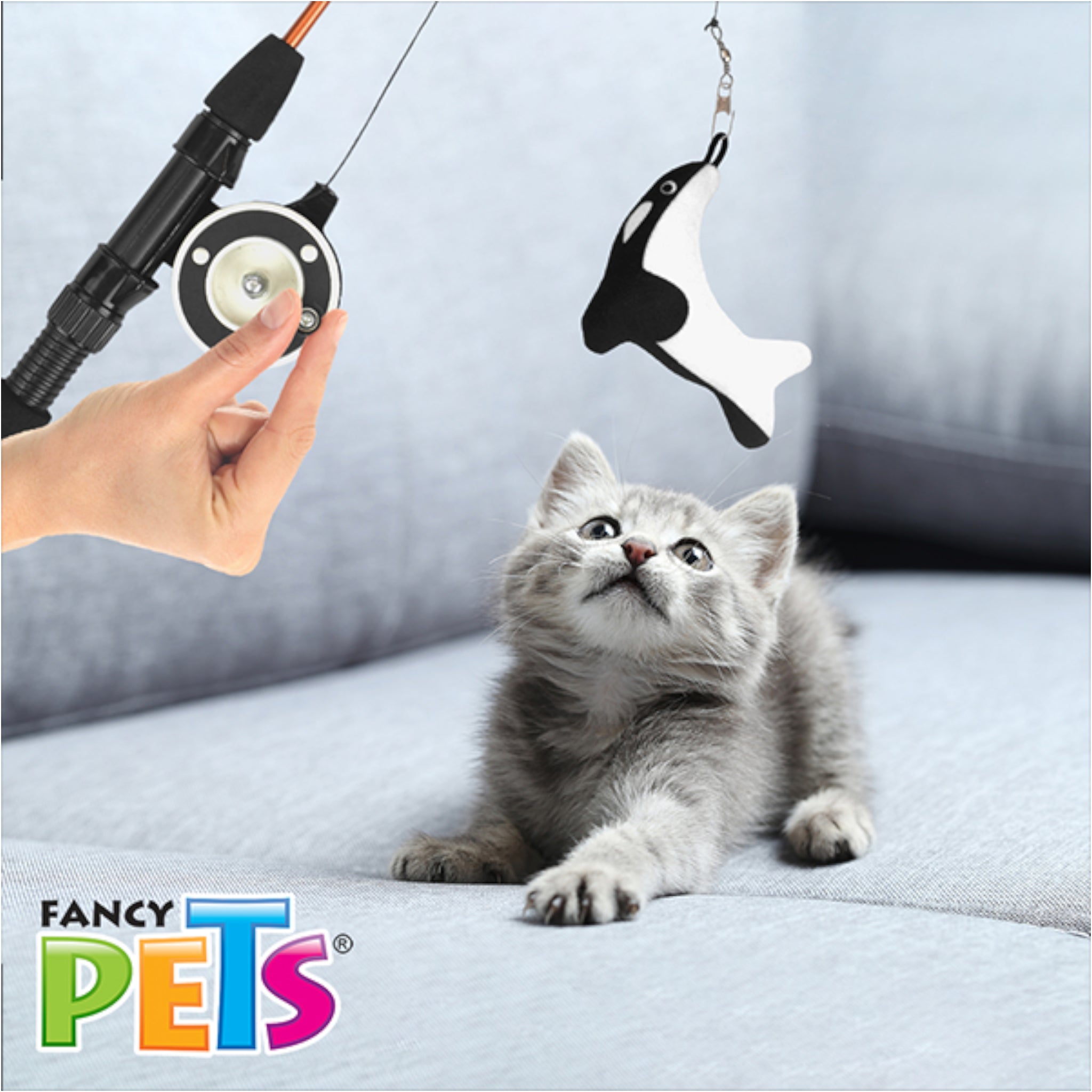 Gatito gris jugando con la caña de pescar interactiva y el peluche de orca, estimulando su instinto de caza.