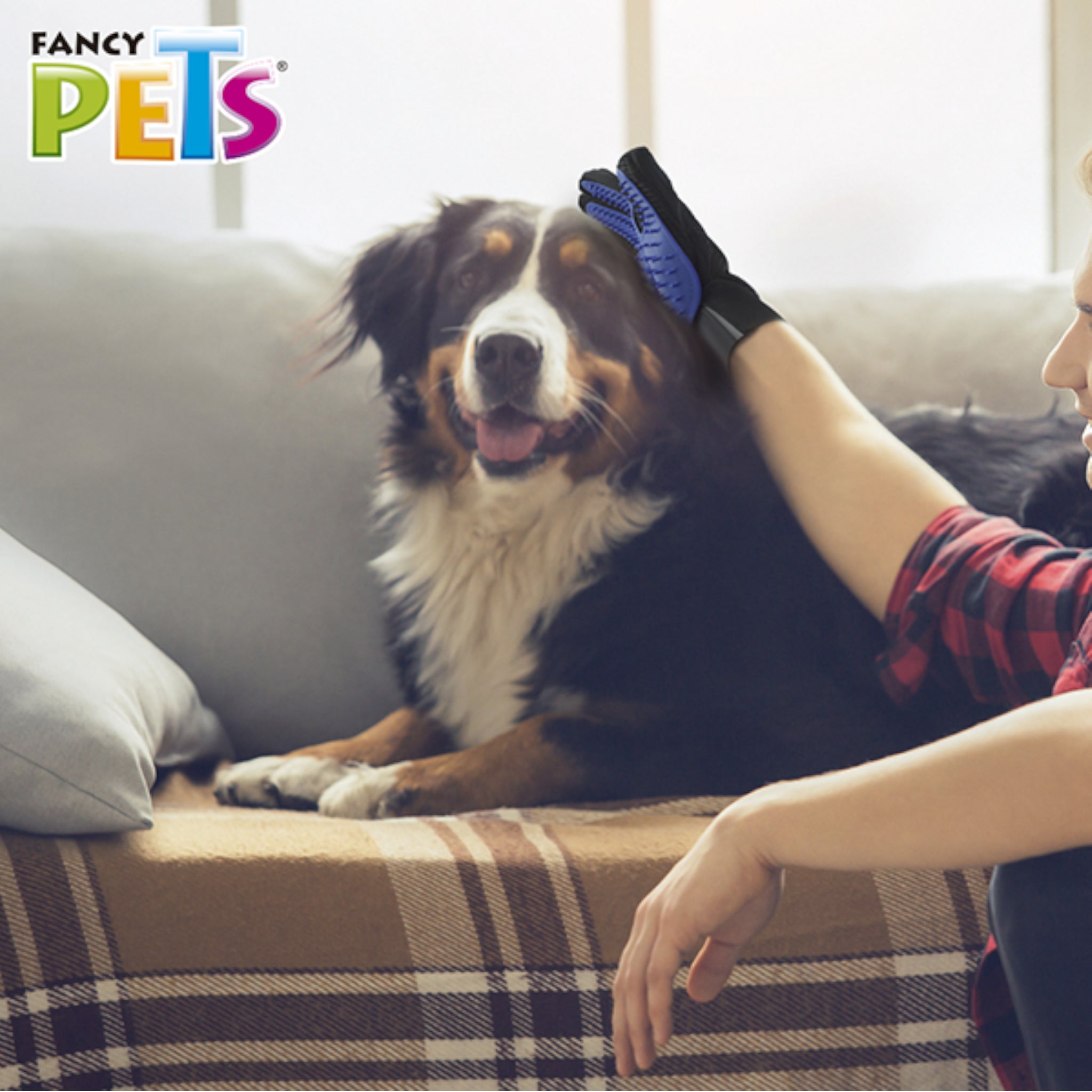 Persona usando el guante limpiador 2 en 1 para cepillar a un perro de pelo medio