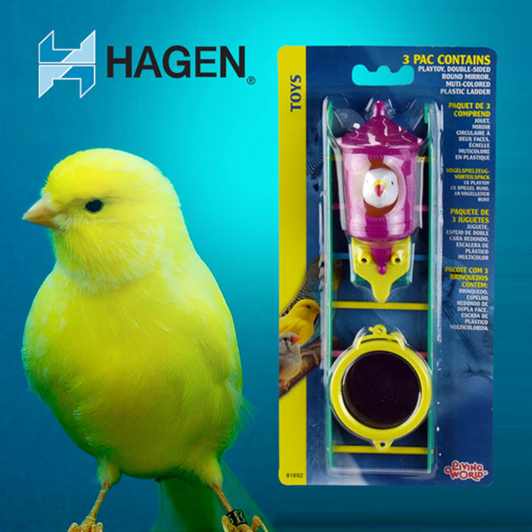 Juguete con espejo doble cara y escalera de plástico multicolor para aves de ornato, estimula el juego y evita el aburrimiento.