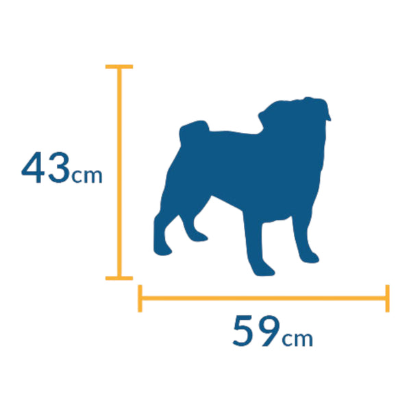 medidas de perro recomendado para casa tipo iglú, altura 43 cm y largo 59 cm
