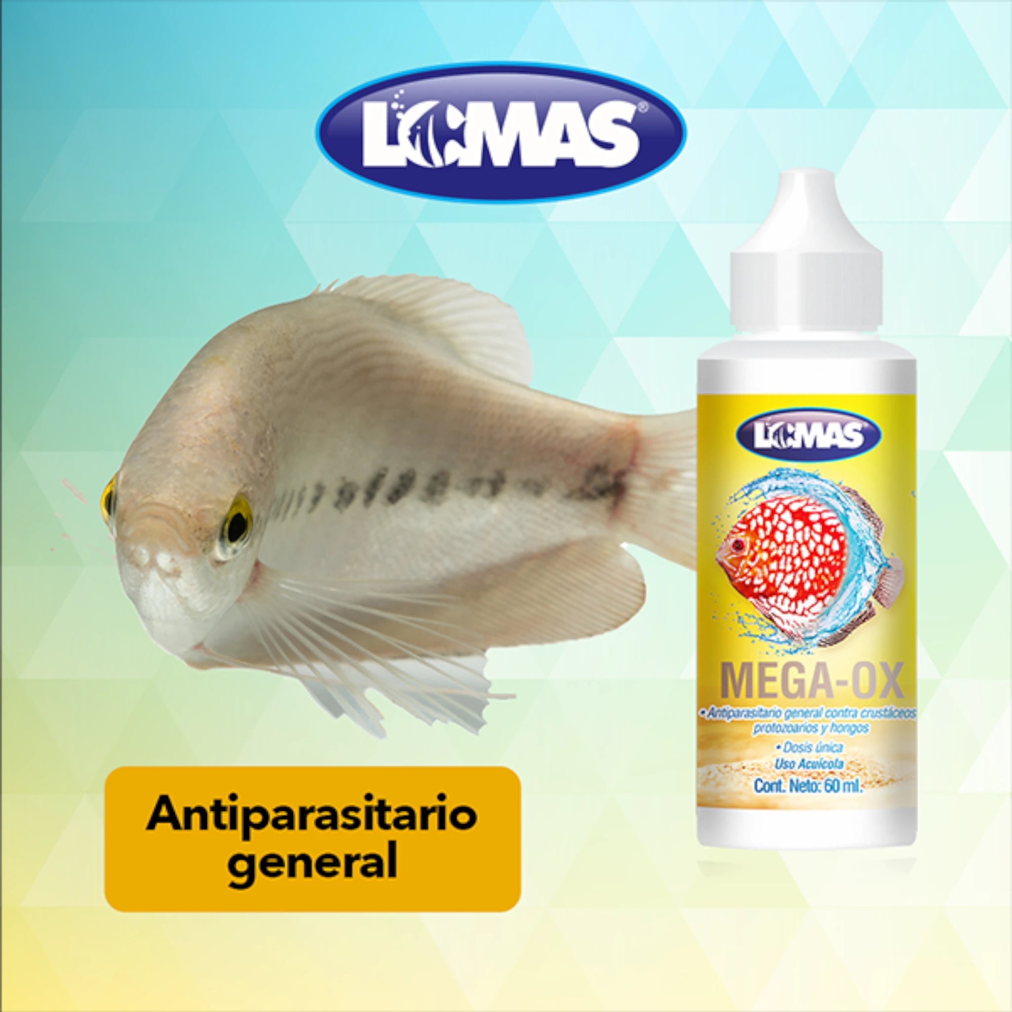 Mega-OX antiparasitario acuícola junto a pez de acuario
