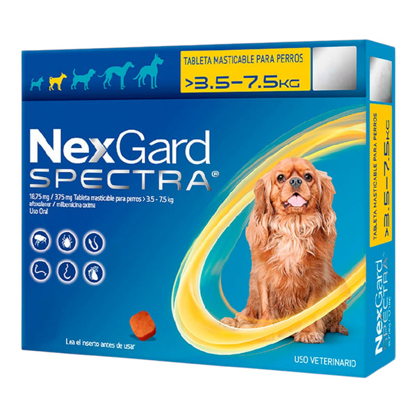 Caja de NexGard Spectra para perros de 3.6 a 7.5 kg con una tableta para tratamiento mensual.