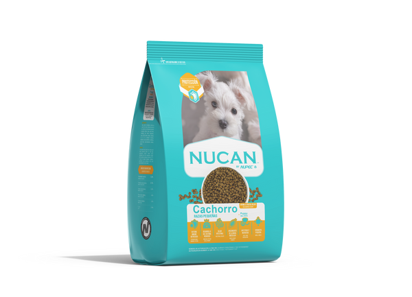Nucan cachorro  raza pequeña