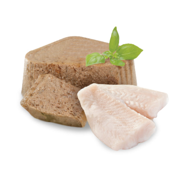 Detalle del pate Felino Urinary resaltando el uso de pescado.
