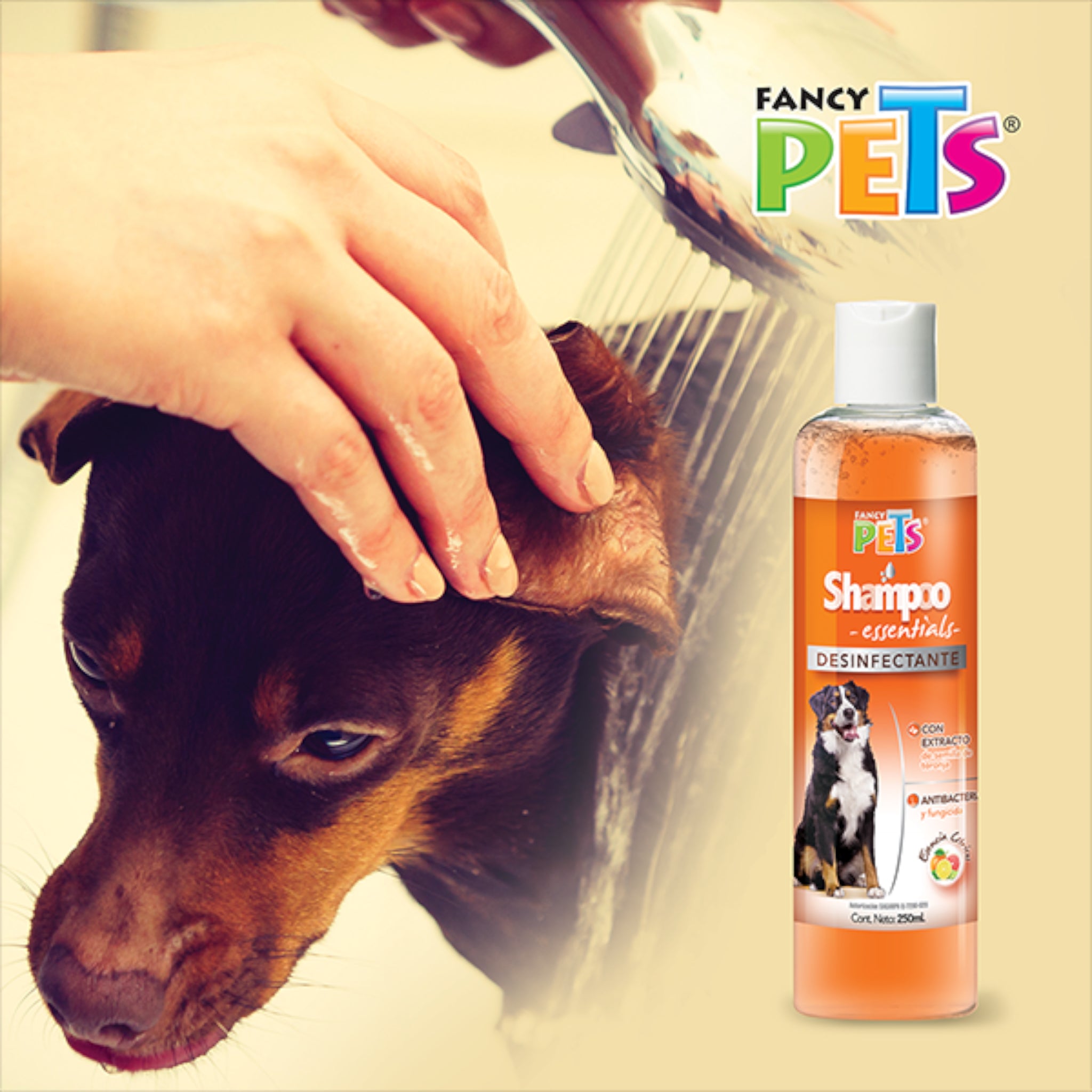Persona bañando a un perro pequeño con el Shampoo Desinfectante Essentials, resaltando su espuma suave que no irrita los ojos y su agradable aroma cítrico.