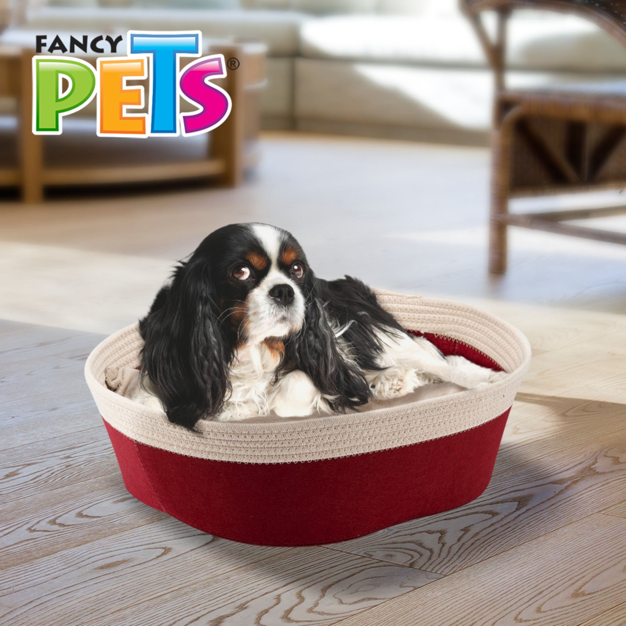 Perro de raza Cavalier King Charles descansando cómodamente en la cama canasta roja de Fancy Pets en una sala.