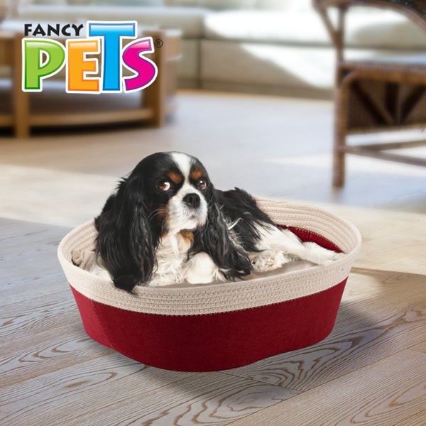 Perro de raza Cavalier King Charles descansando cómodamente en la cama canasta roja de Fancy Pets en una sala.
