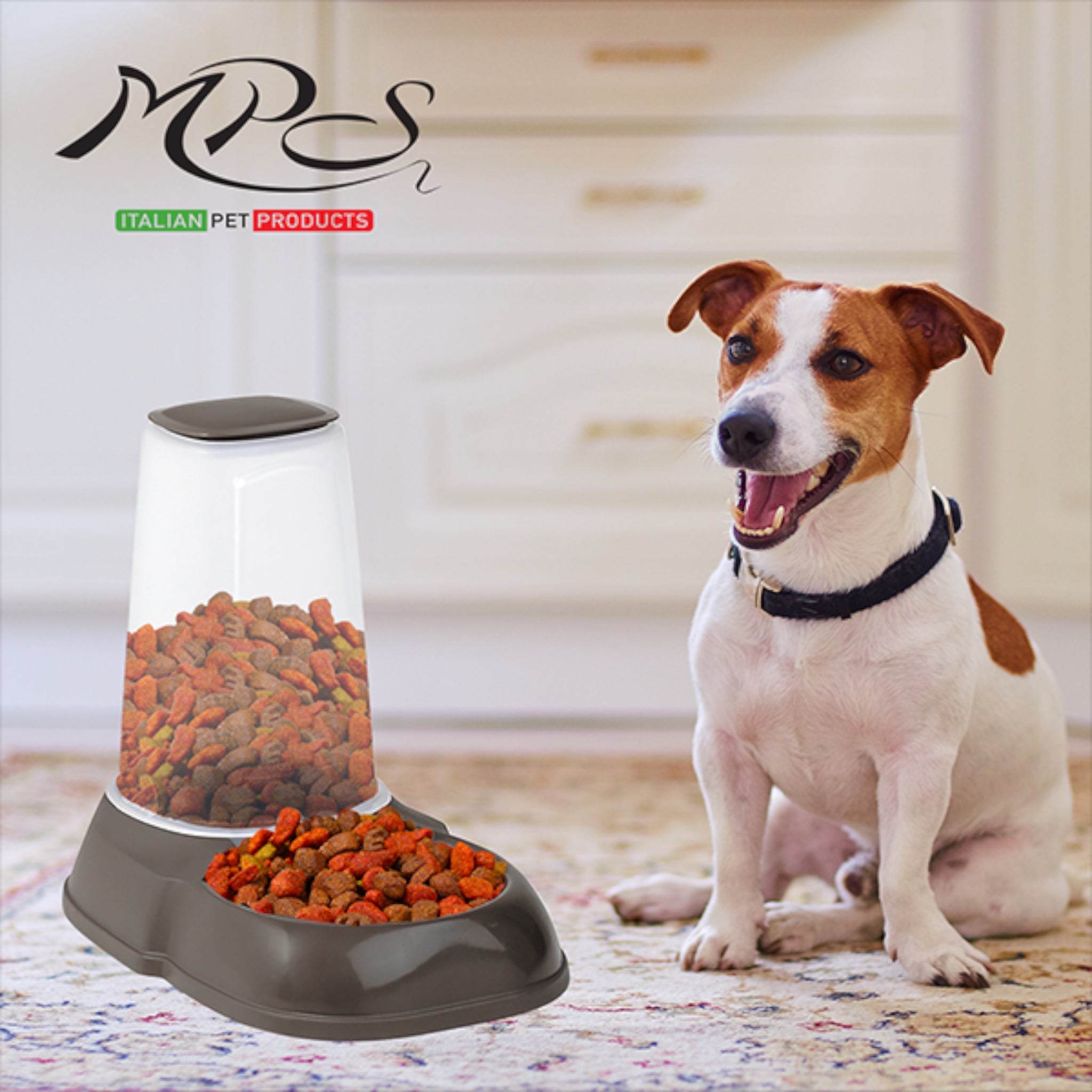 Perro Jack Russell Terrier feliz junto al alimentador automático MPS, ideal para razas pequeñas que requieren alimento disponible todo el día.