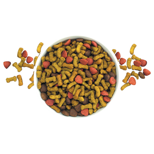 Acercamiento a las croquetas de Nucan Senior servidas en un plato blanco, mostrando su forma circular y textura adecuada para perros adultos mayores.