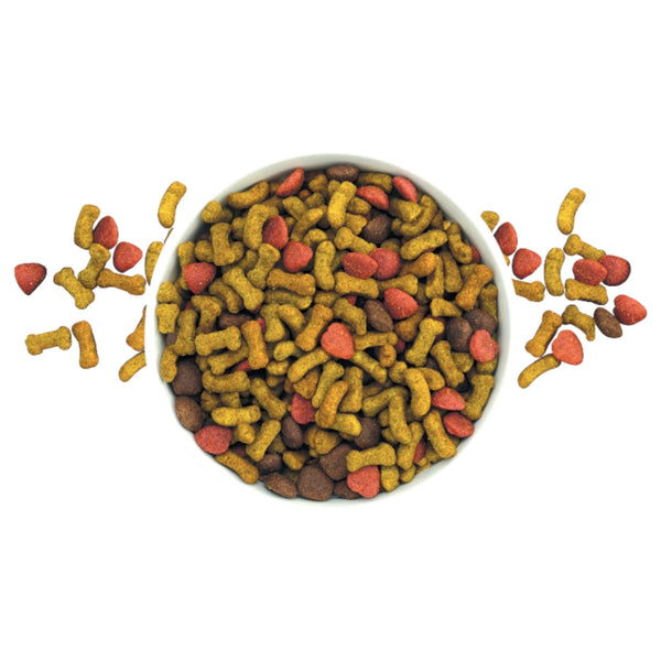 Acercamiento a las croquetas de Nucan  servidas en un plato blanco, mostrando su forma  y textura adecuada para perros adultos.