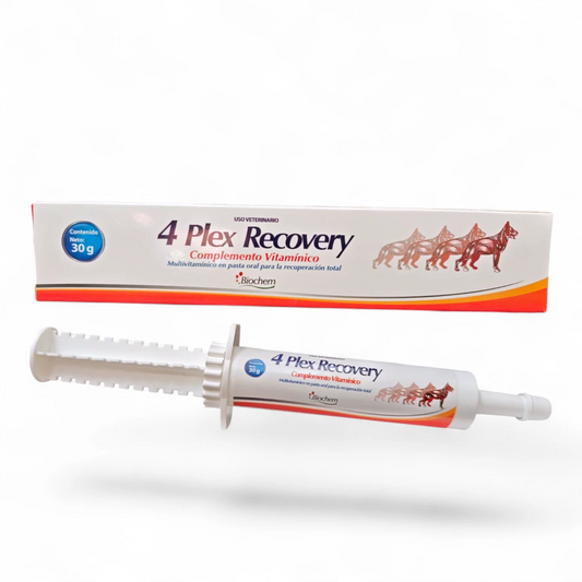 Presentación de 4 Plex Recovery en jeringa dosificadora de30 gramos, complemento vitamínico en pasta para recuperación de perros y gatos.