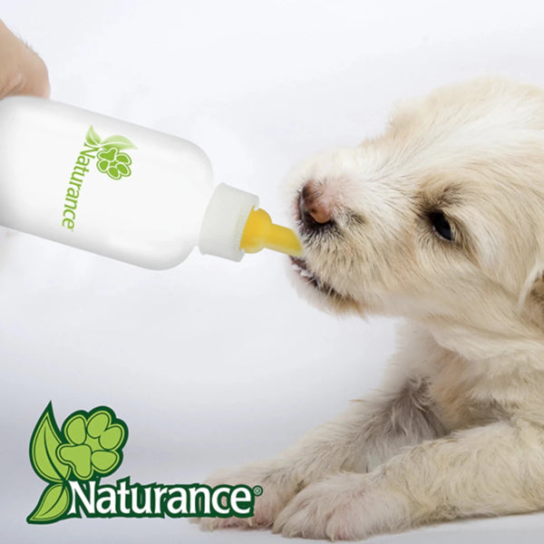 Cachorro bebiendo leche directamente del biberón Naturance
