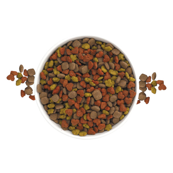 Croquetas Nucan Adulto Razas Pequeñas servidas en un plato, mostrando el tamaño adecuado y la variedad de formas para perros pequeños.