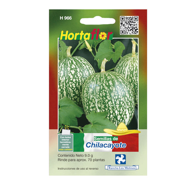 Empaque de semillas de chilacayote curcubita ficifolia para cultivo en huertos caseros