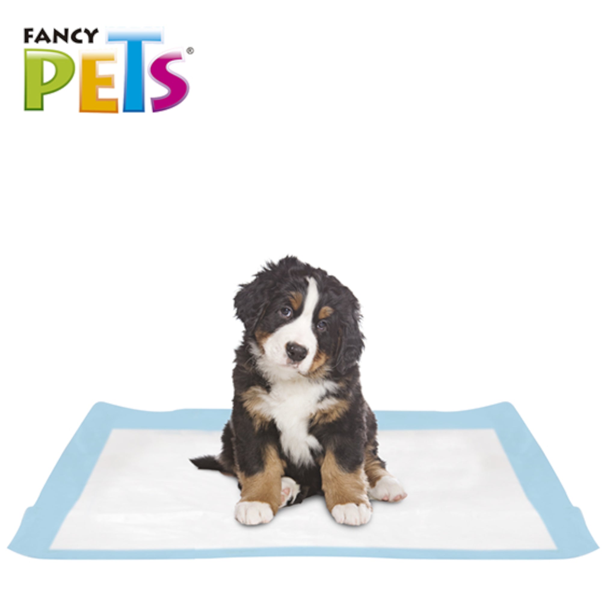 Tapete entrenador SoftPad XL para perros extendido mostrando su tamaño de 60 por 75 centimetros