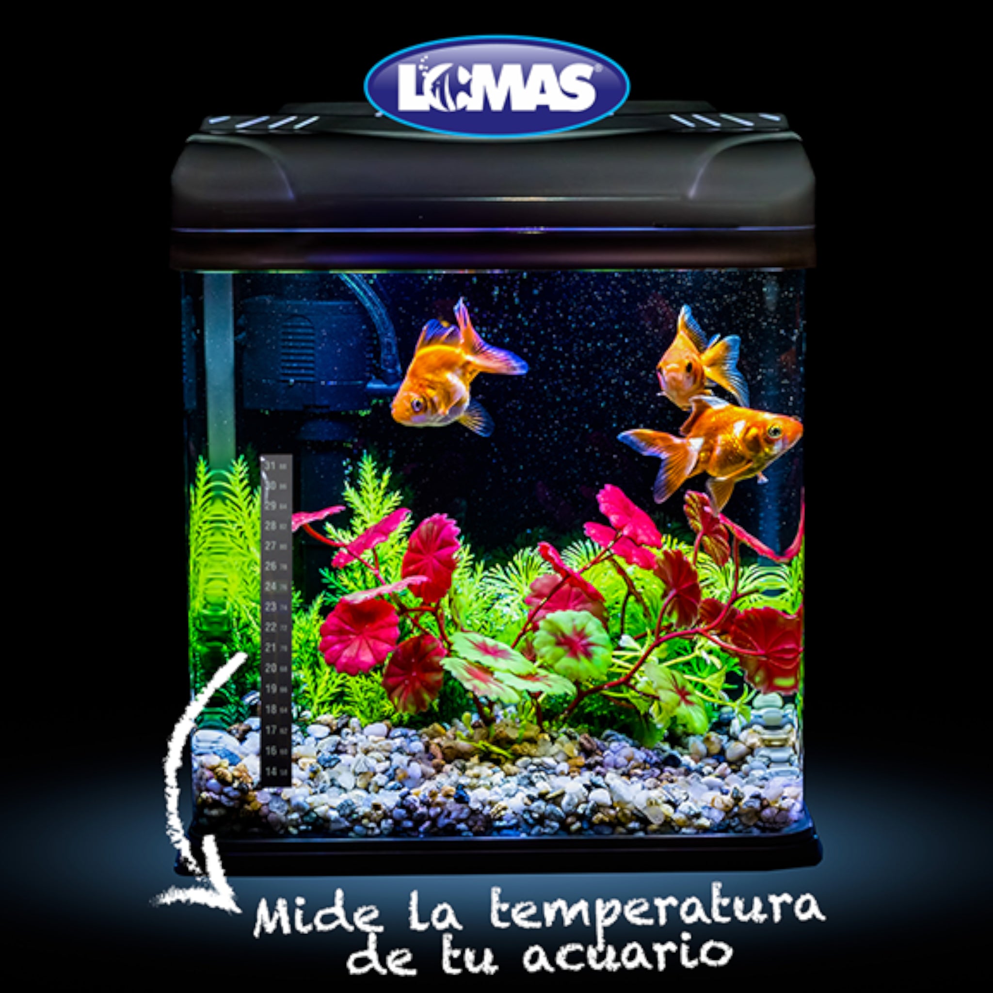 Termómetro de tira vertical instalado en el cristal de un acuario, mostrando las escalas de Celsius y Fahrenheit con fondo decorativo de peces.