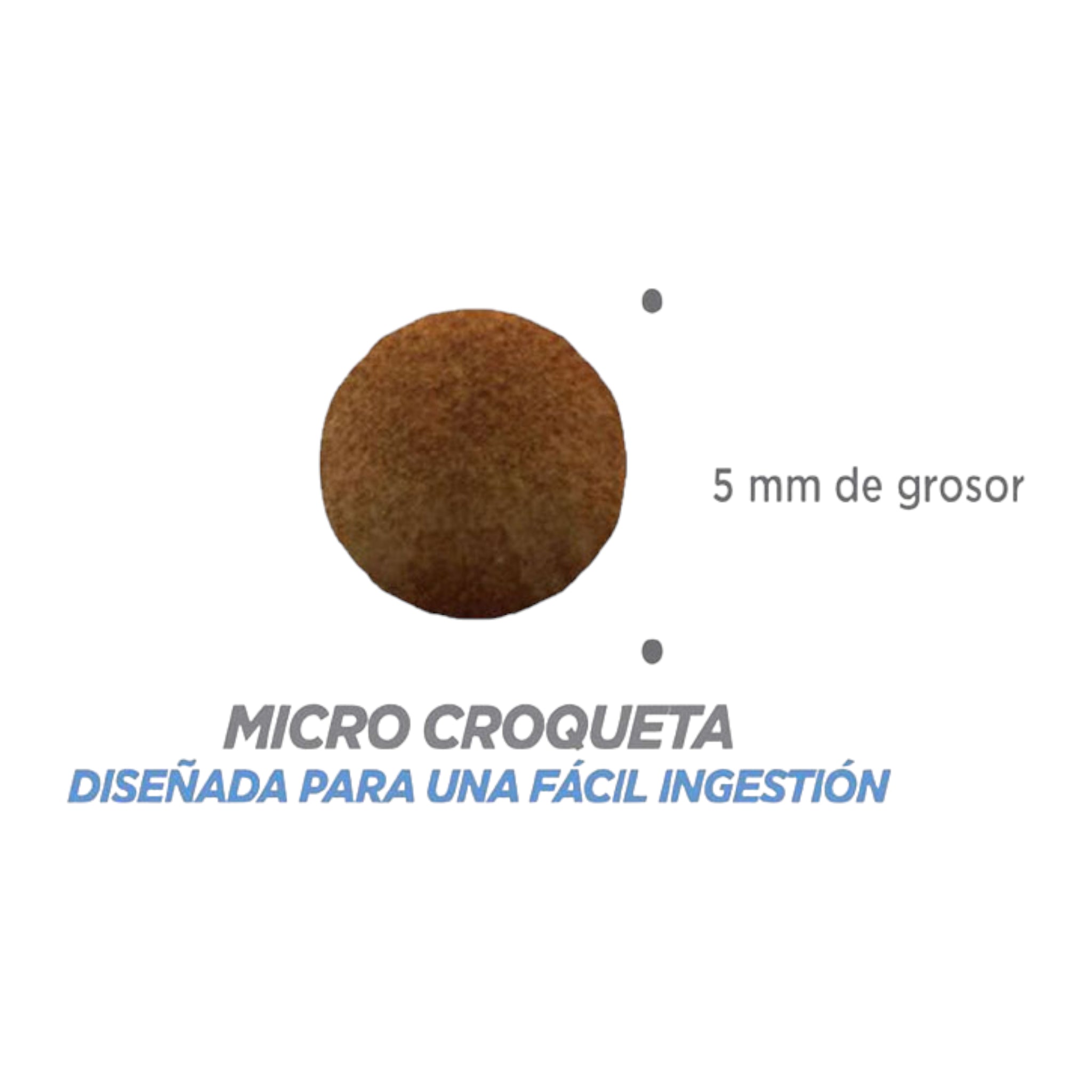 Acercamiento a las croquetas pequeñas de Nupec Kitten en un plato, diseñadas para la fácil masticación y digestión de gatos menores a un año.