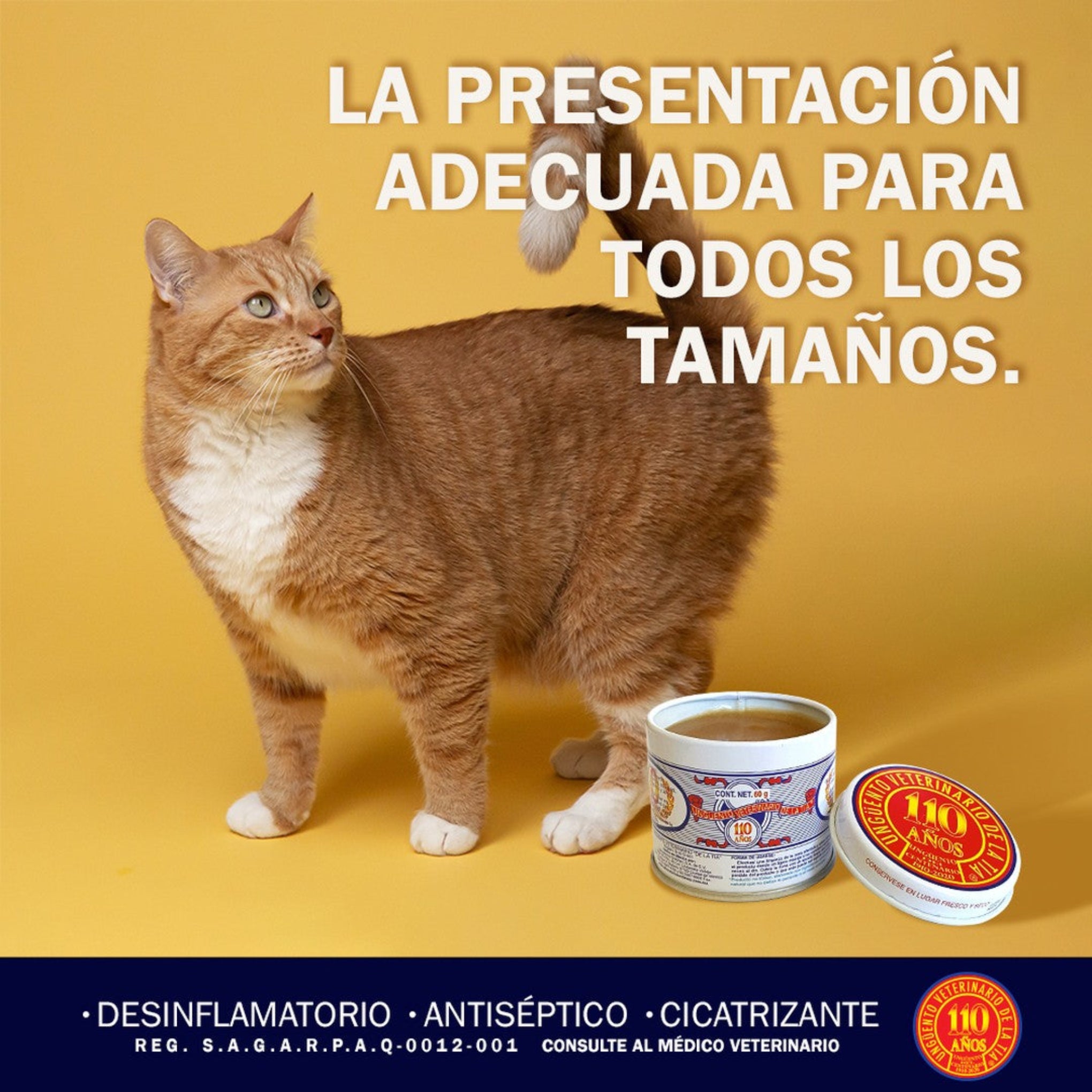 Gato junto al Ungüento de la Tía en diferentes tamaños, ideal para cuidar heridas de forma natural